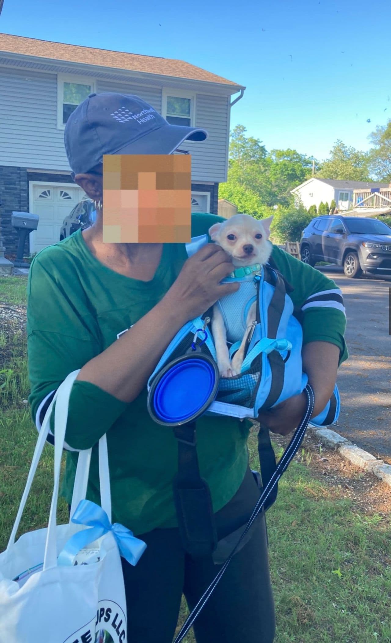 Pet travel photo 5