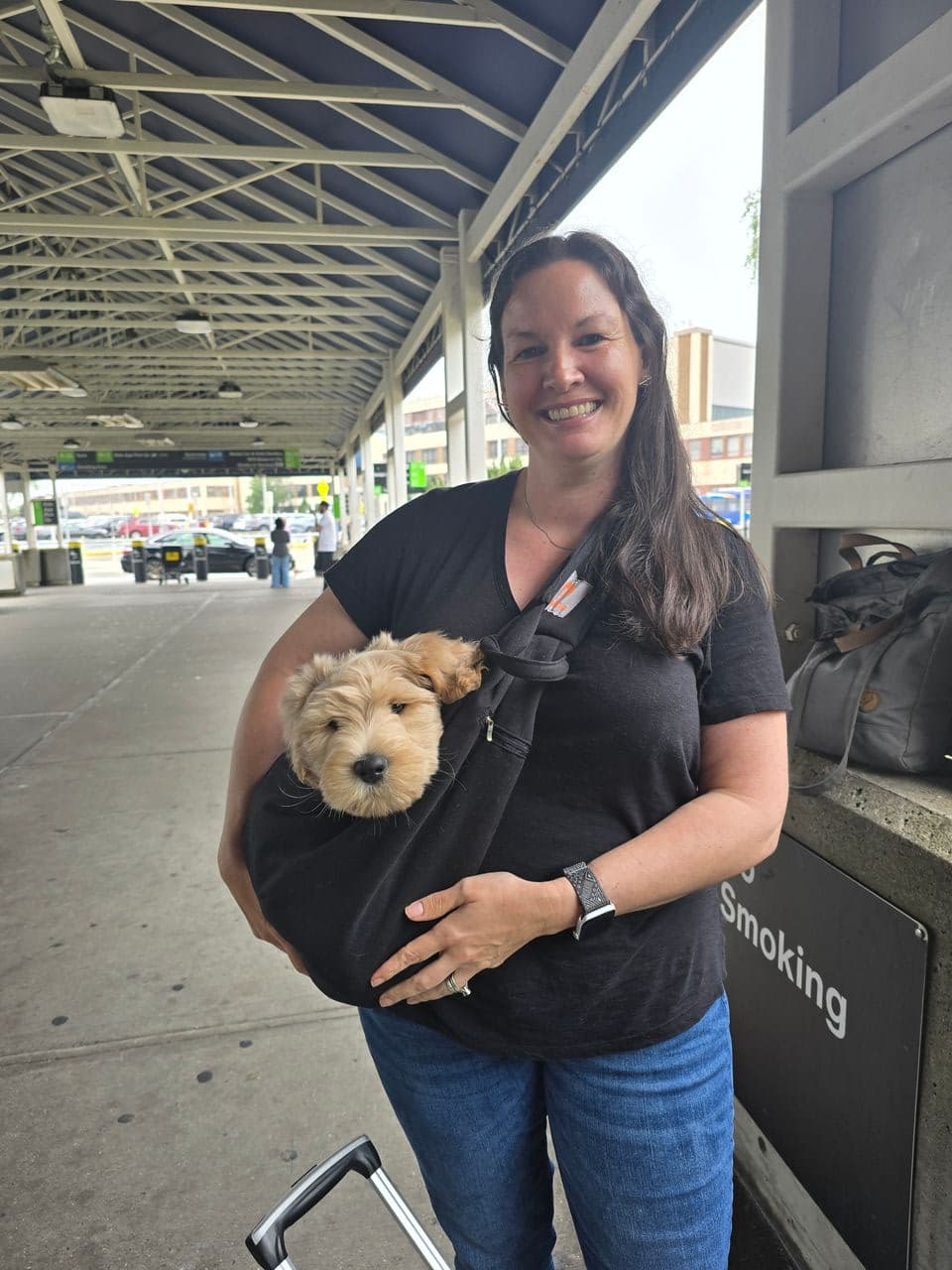 Pet travel photo 1