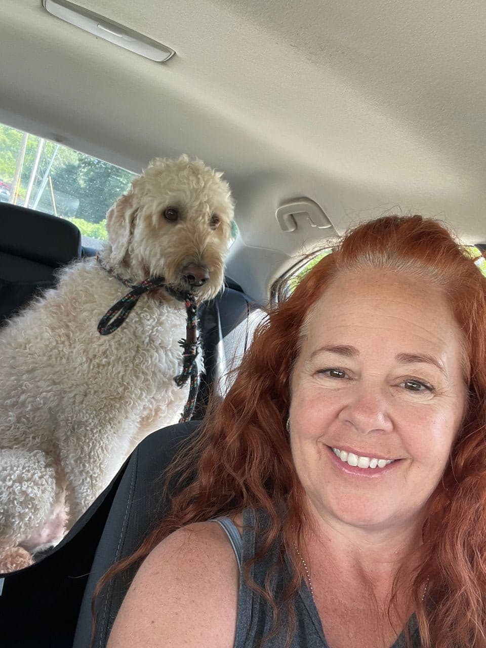 Pet travel photo 1