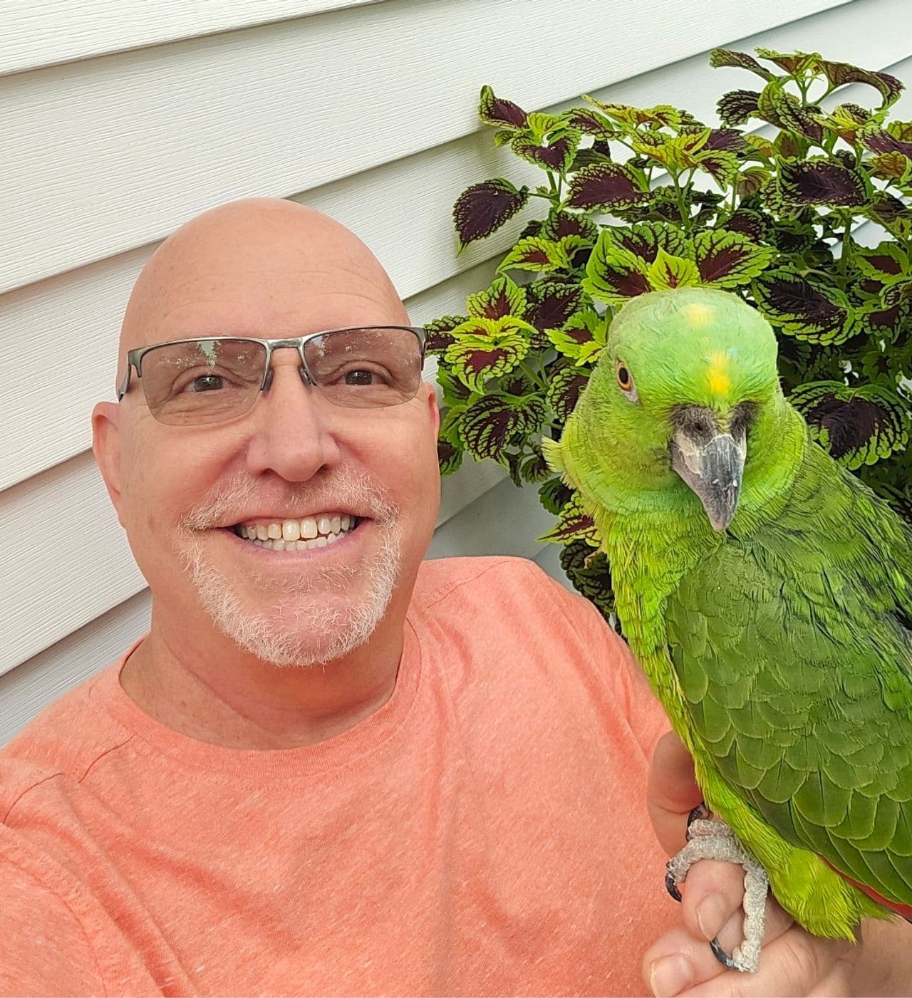 Pet travel photo 2