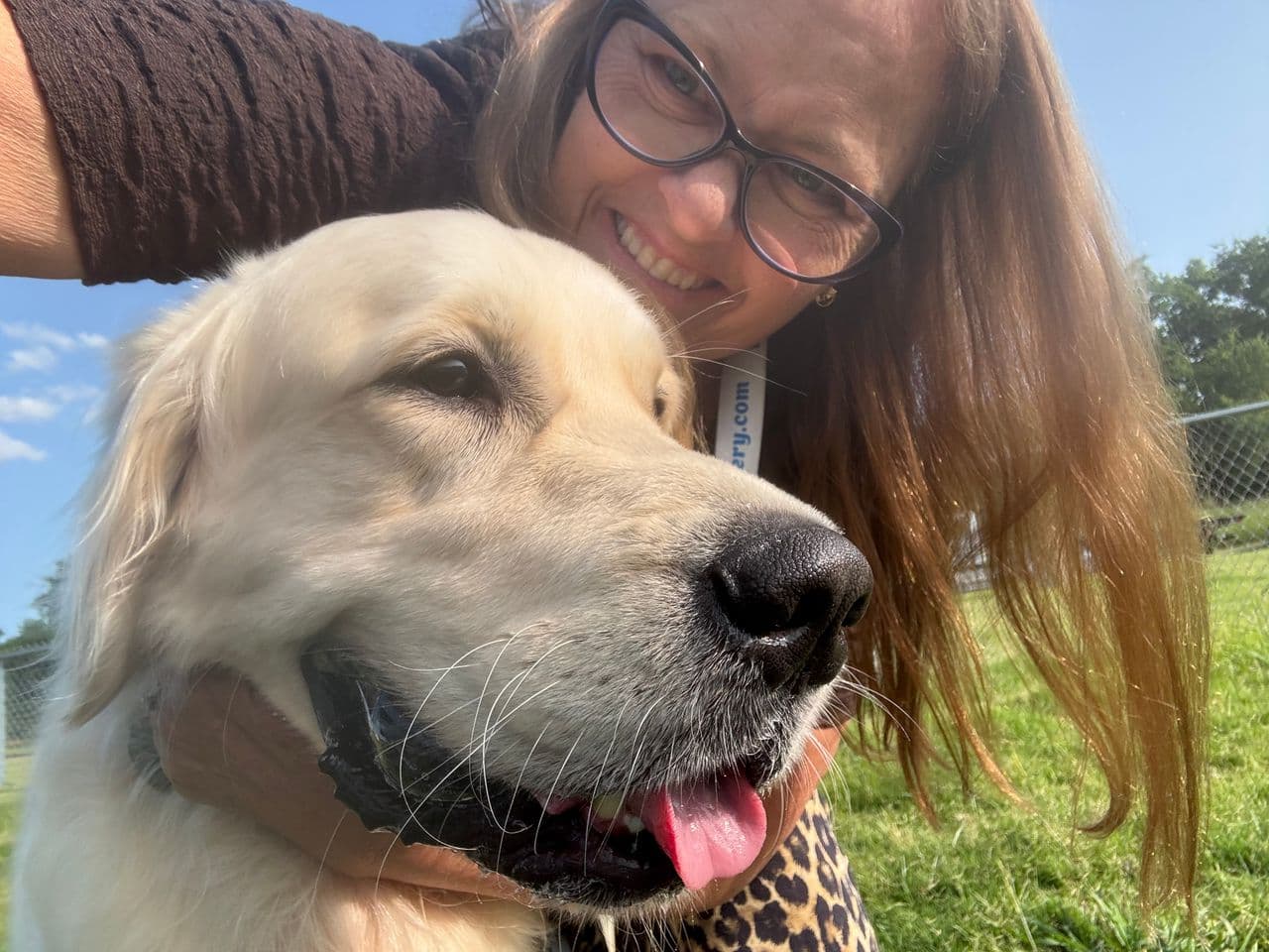 Pet travel photo 1