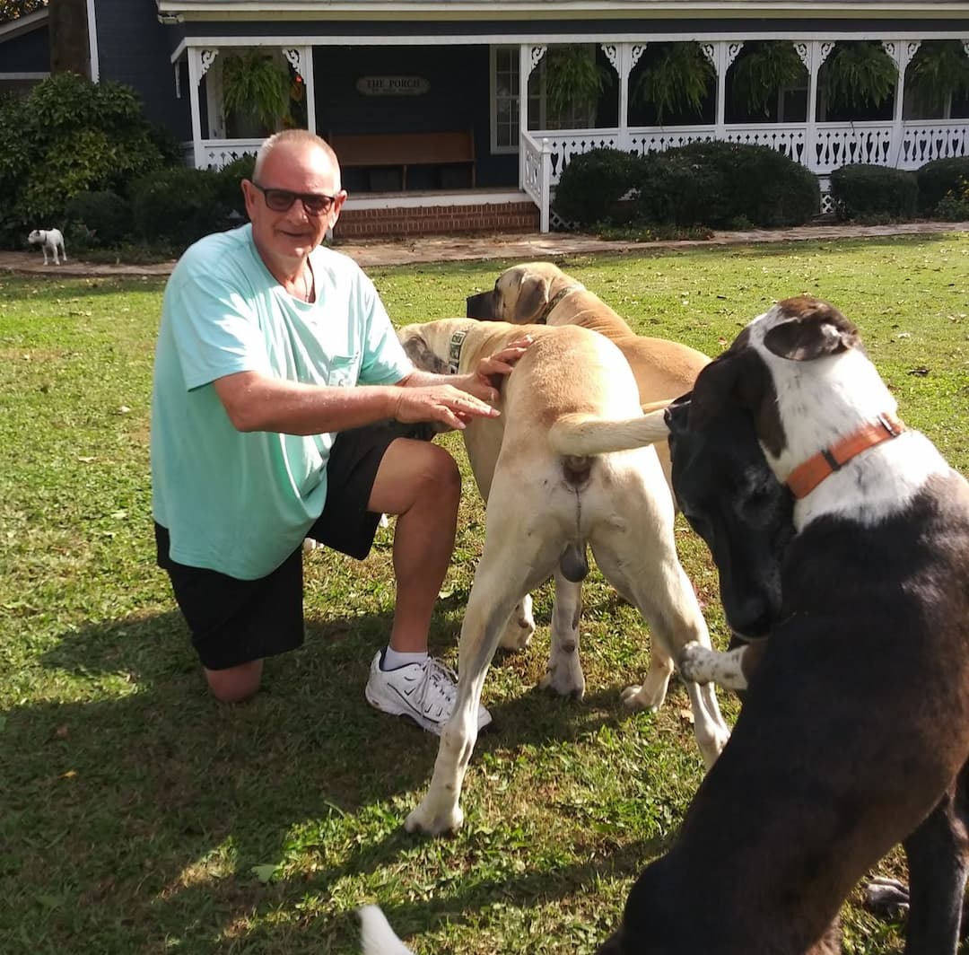 Barry's Dogs: Coast to Coast Pet Transport