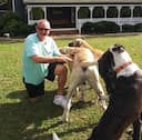 Marco Island, FL reviews