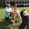 Barry's Dogs: Coast to Coast Pet Transport