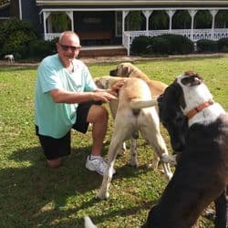 Barry's Dogs: Coast to Coast Pet Transport