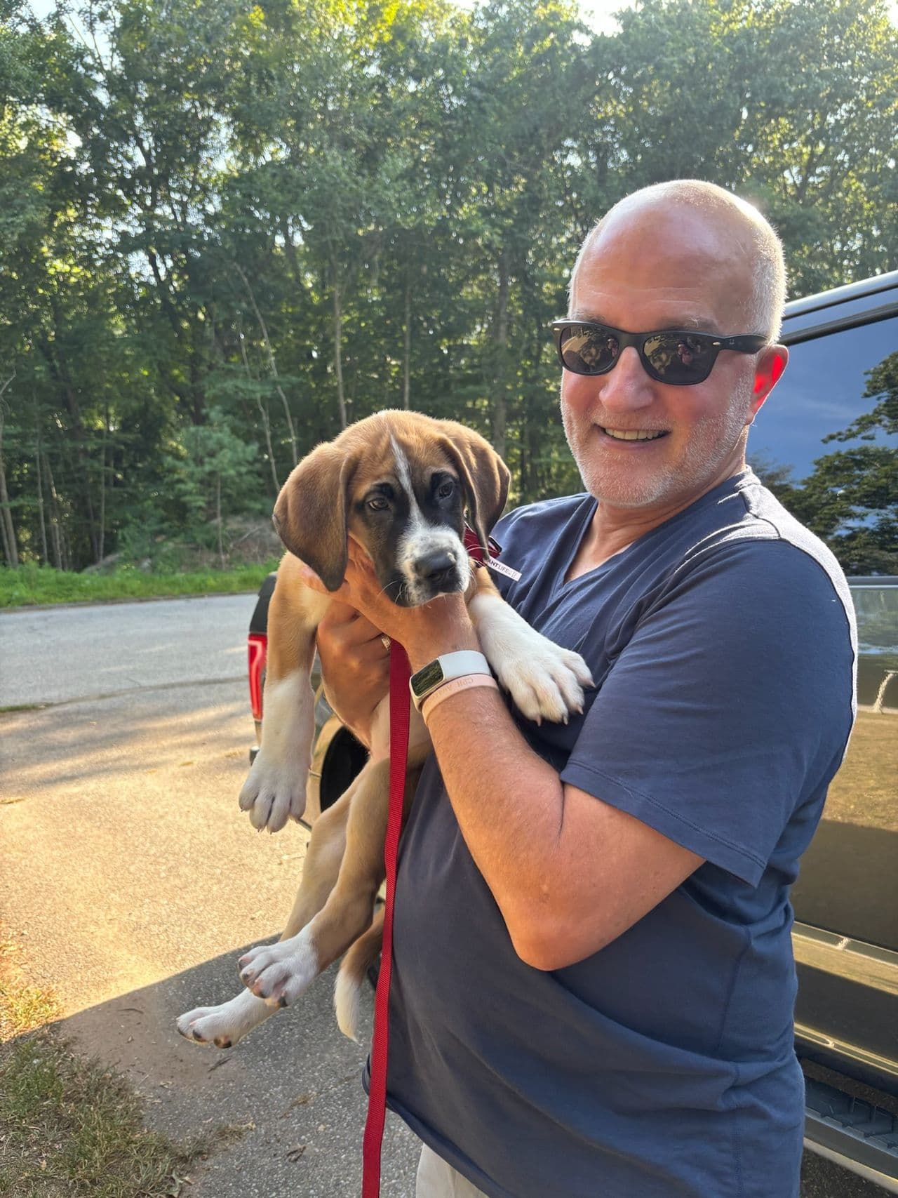Pet travel photo 2