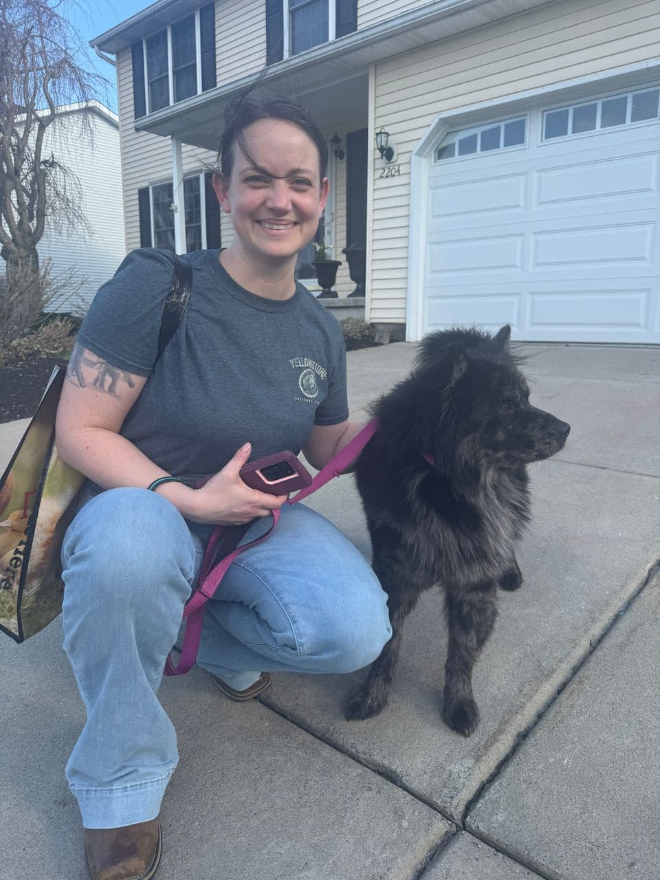 Pet travel photo 1