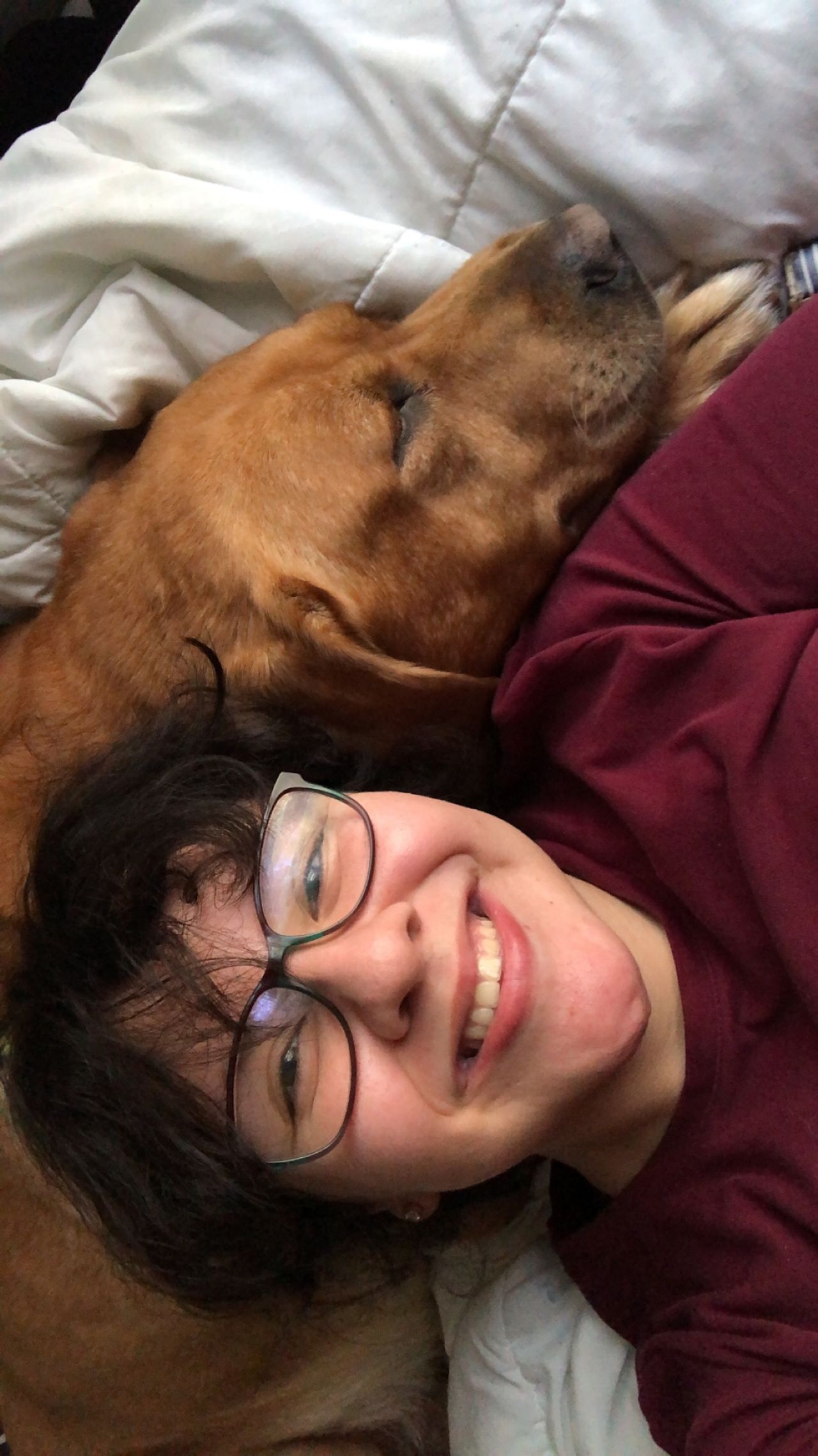 Pet travel photo 5