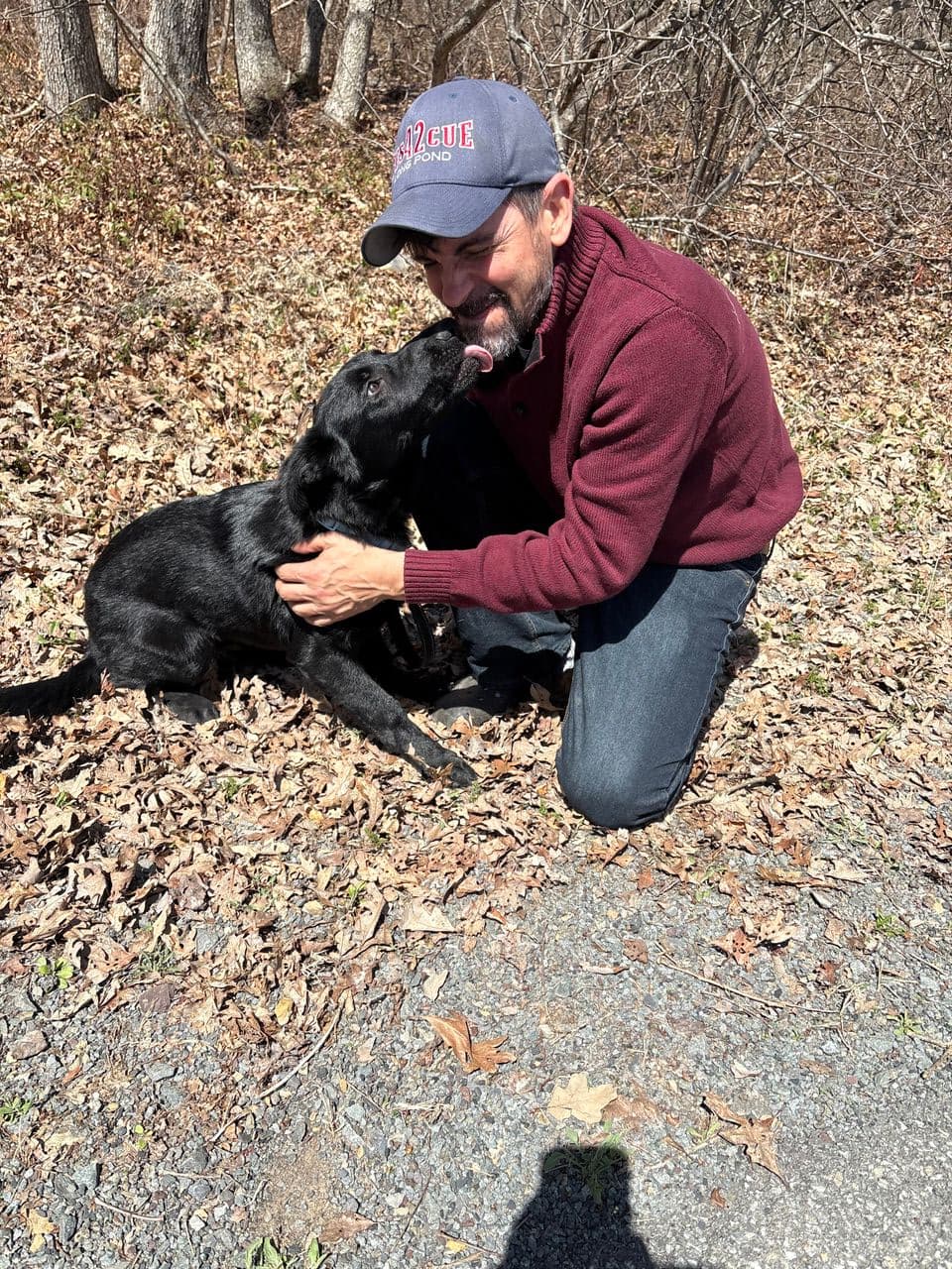 Pet travel photo 6