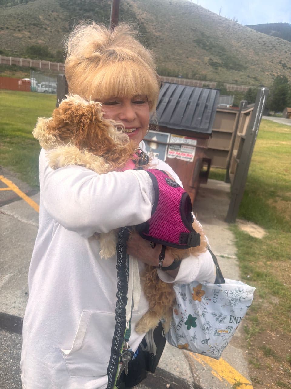 Pet travel photo 3
