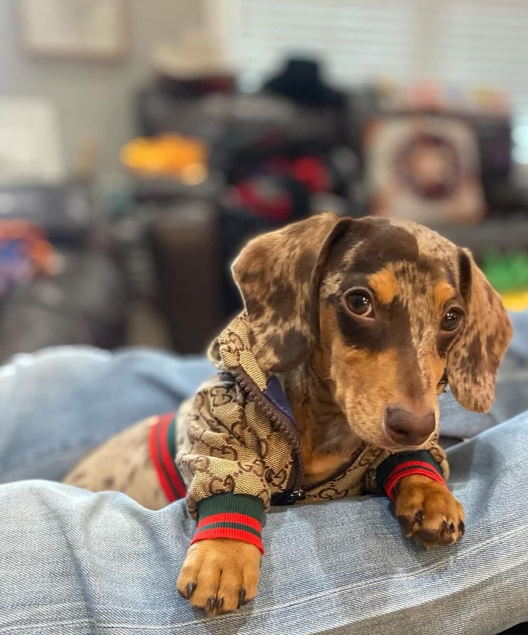 Puppy's R Us by - R.L. Riner
