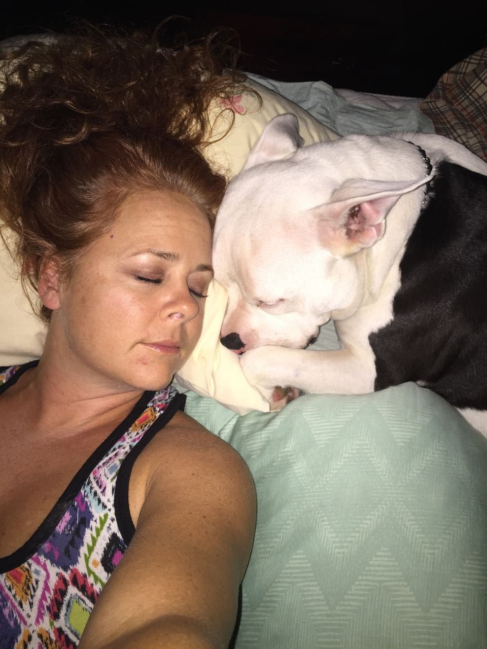 Pet travel photo 4