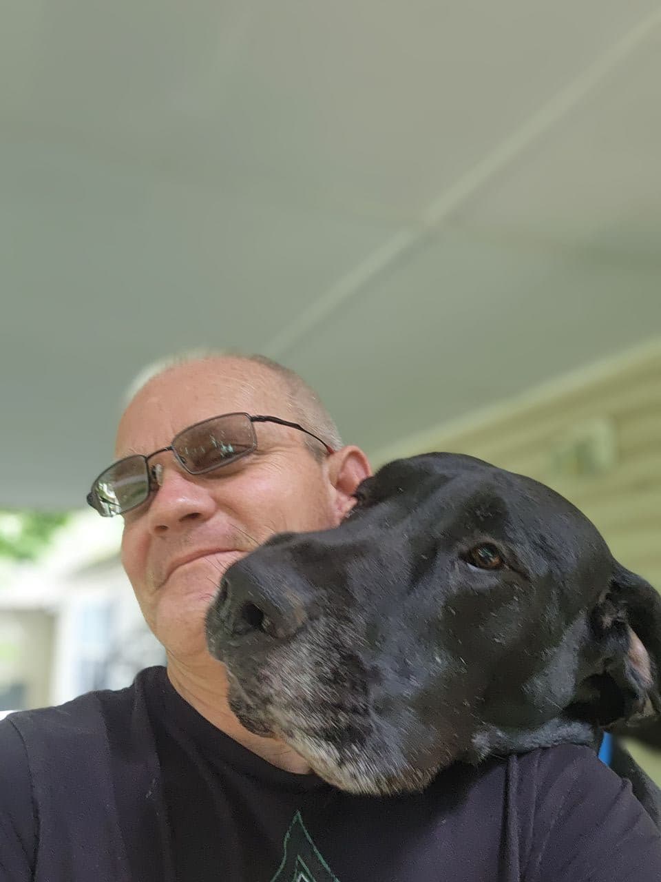 Pet travel photo 2