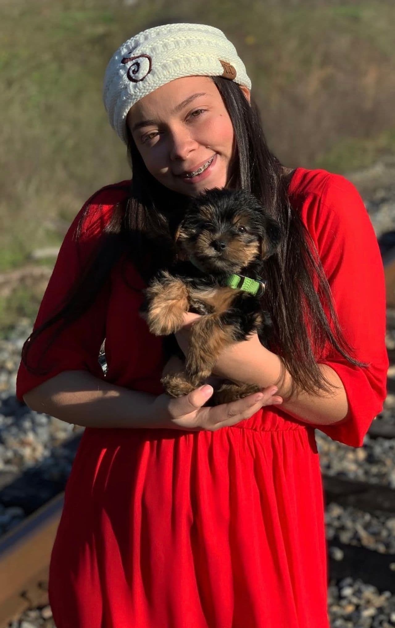 Pet travel photo 6