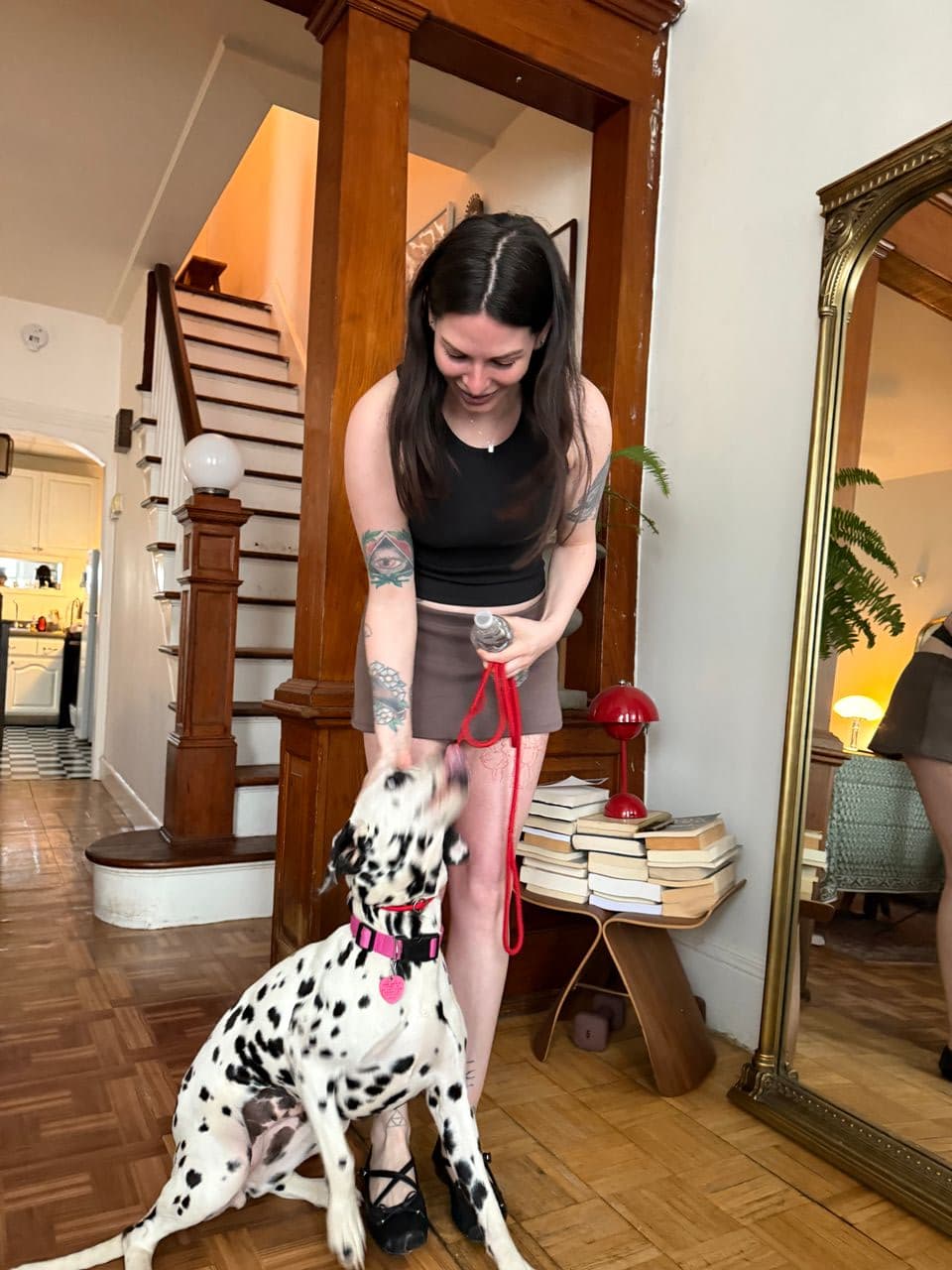 Pet travel photo 2