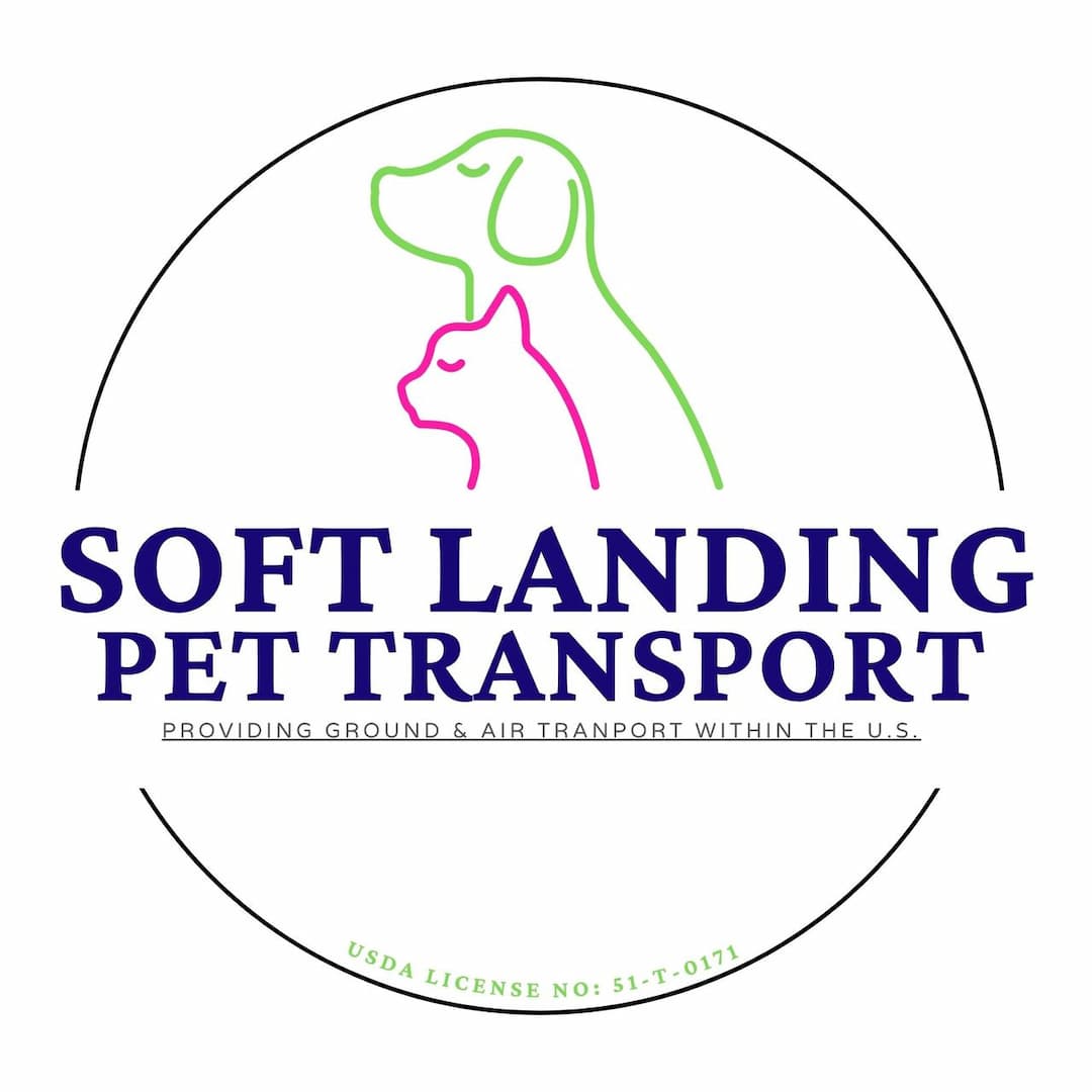 Soft Landing Pet Transport