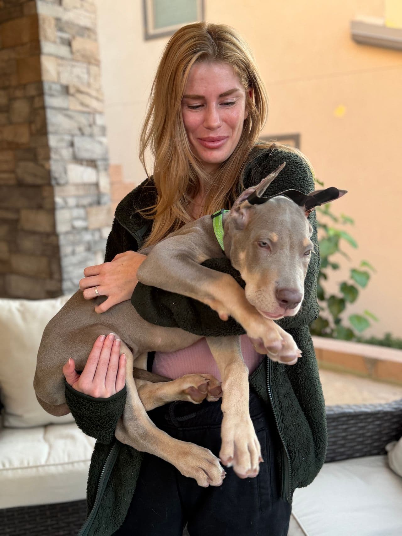 Pet travel photo 3