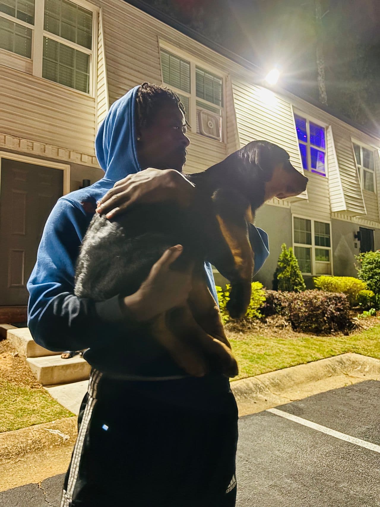 Pet travel photo 1