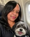 DePAWting Pet Flight Nanny Svcs