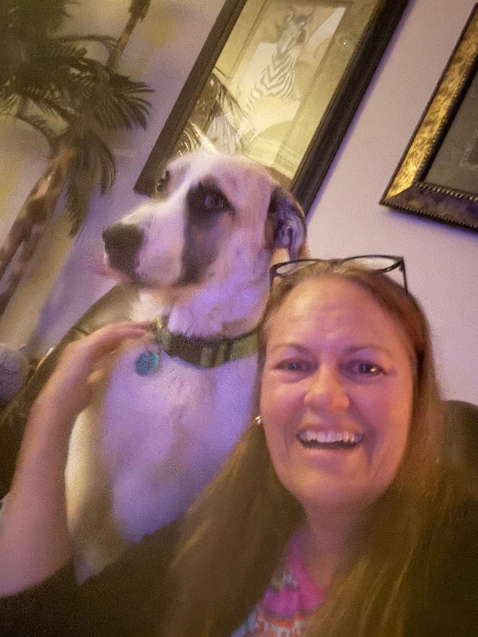 Pet travel photo 3
