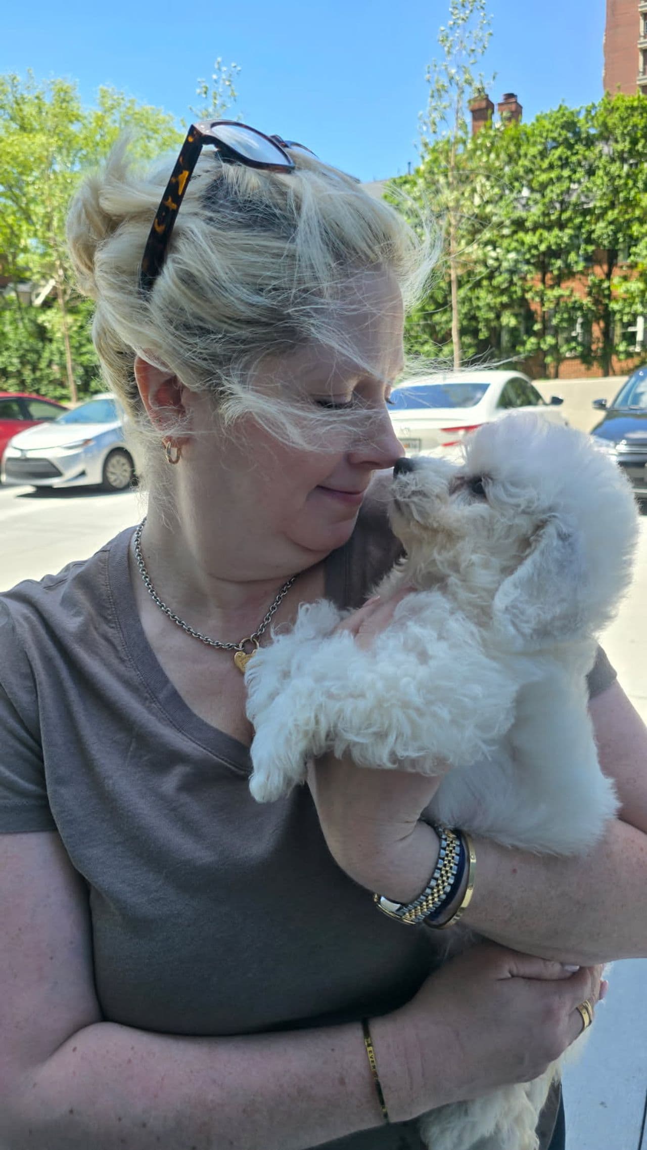 Pet travel photo 1
