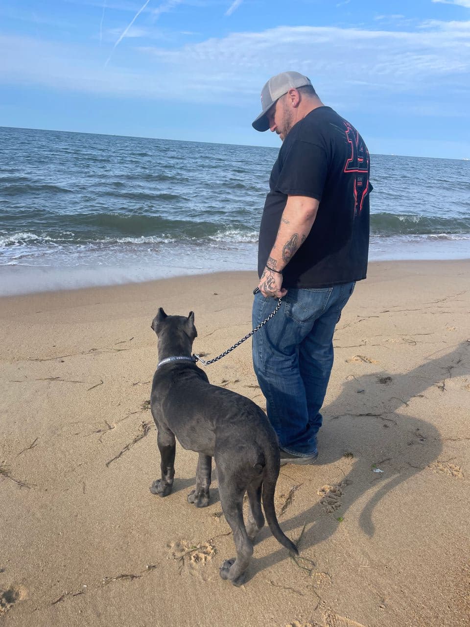 Pet travel photo 3