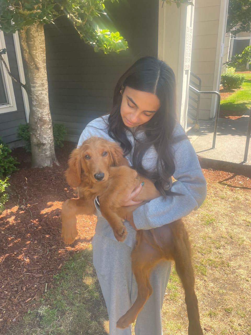 Pet travel photo 2