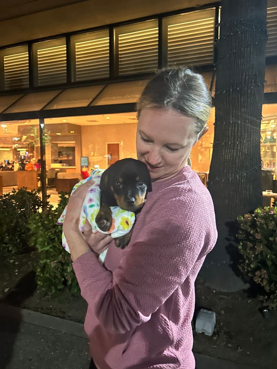 Pet travel photo 4