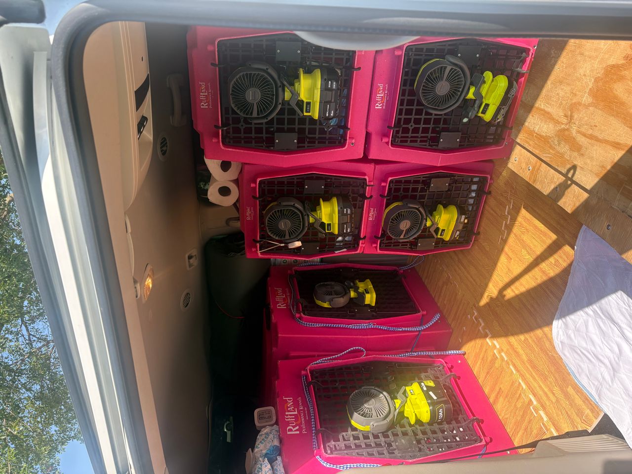 Pet travel photo 1