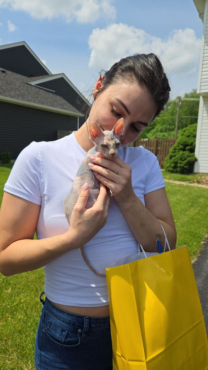 Pet travel photo 4