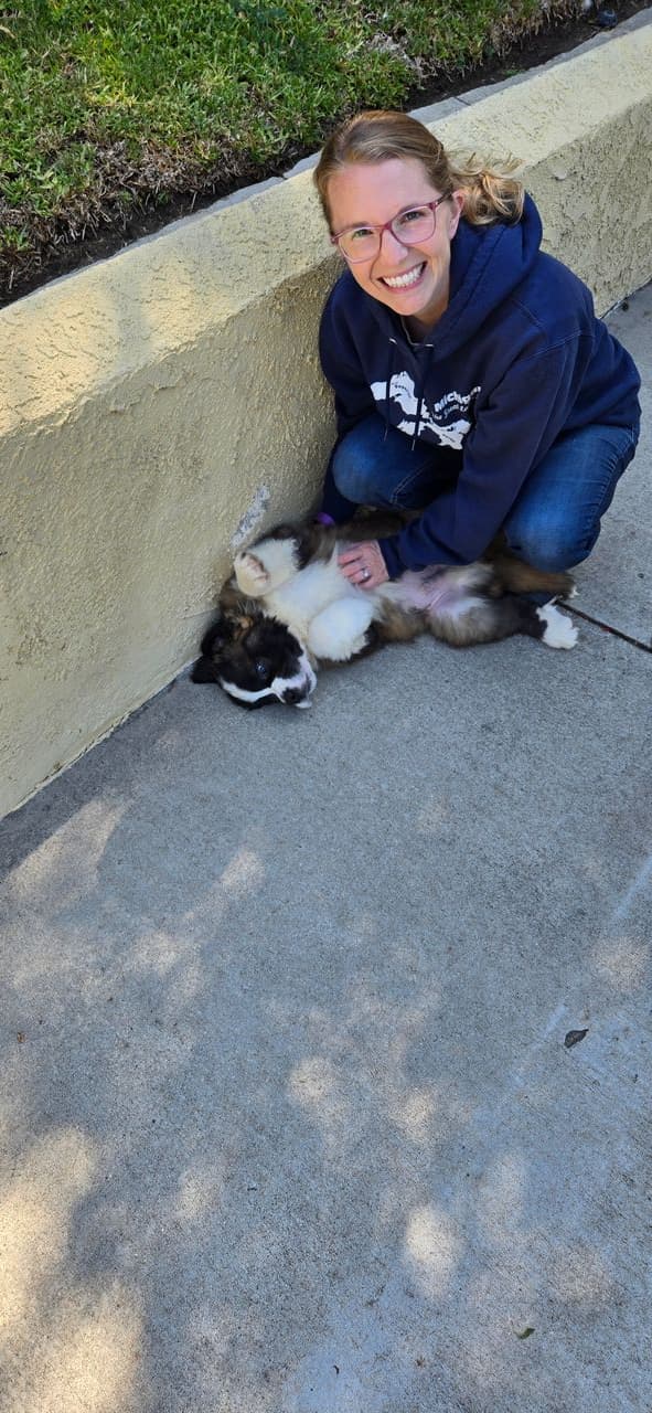 Pet travel photo 2