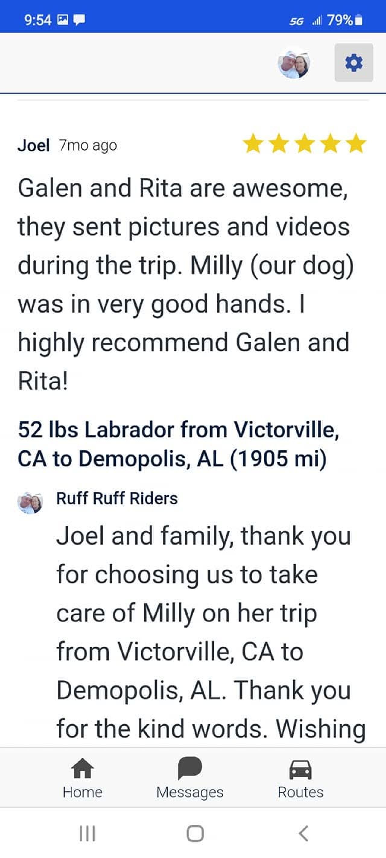 Pet travel photo 3