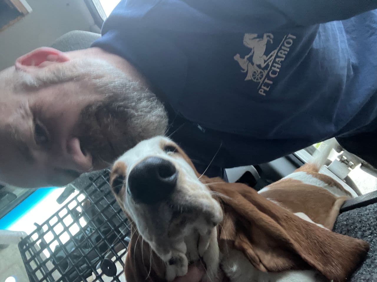 Pet travel photo 2