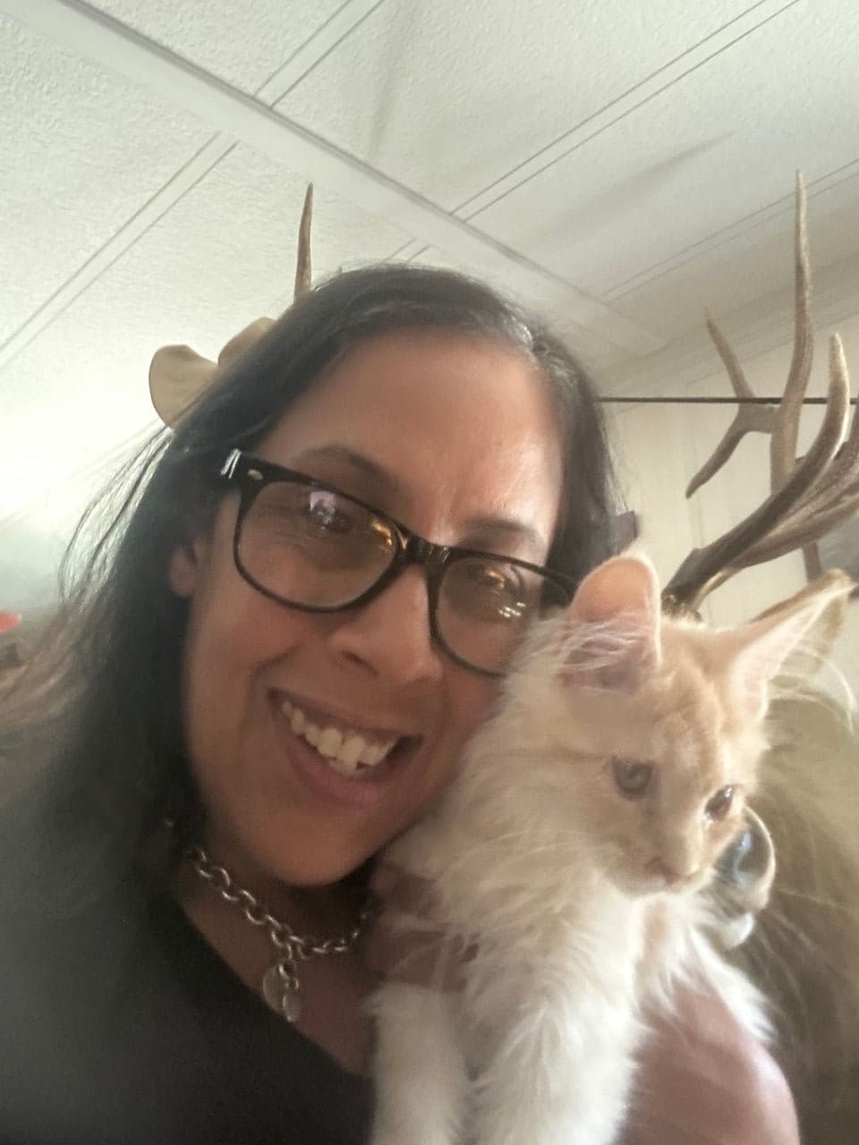 Pet travel photo 4