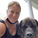 Maine reviews