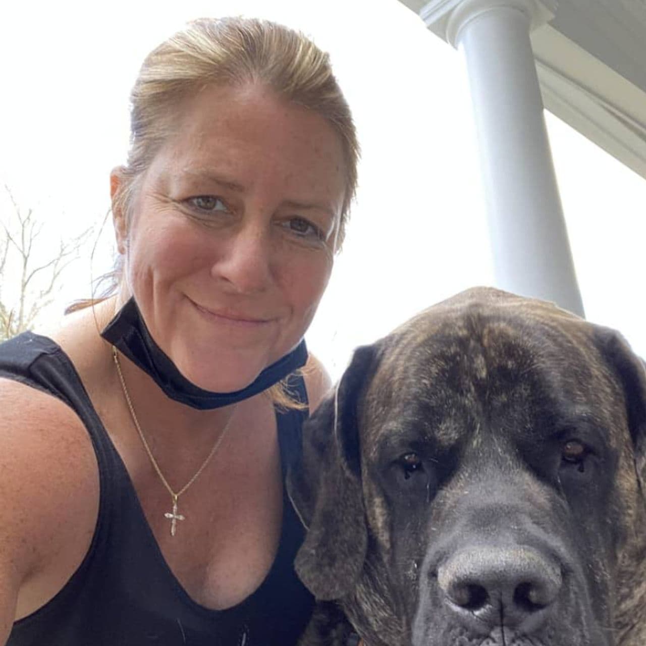 Devine Animal Care