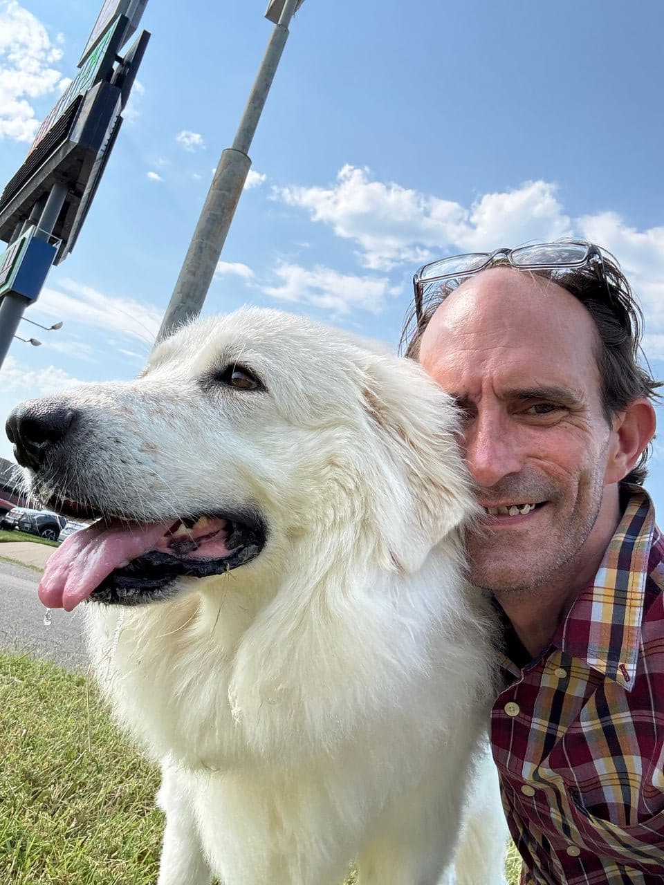 Pet travel photo 3