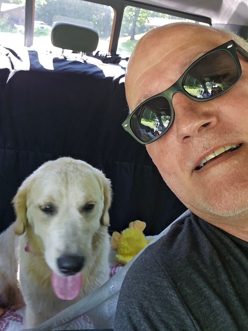 Pet travel photo 1