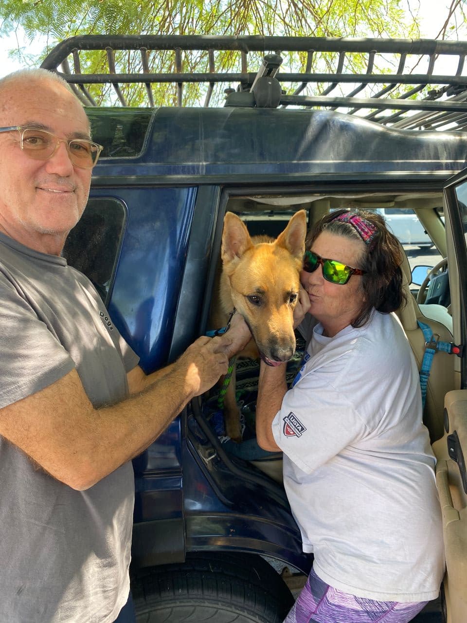 Pet travel photo 1
