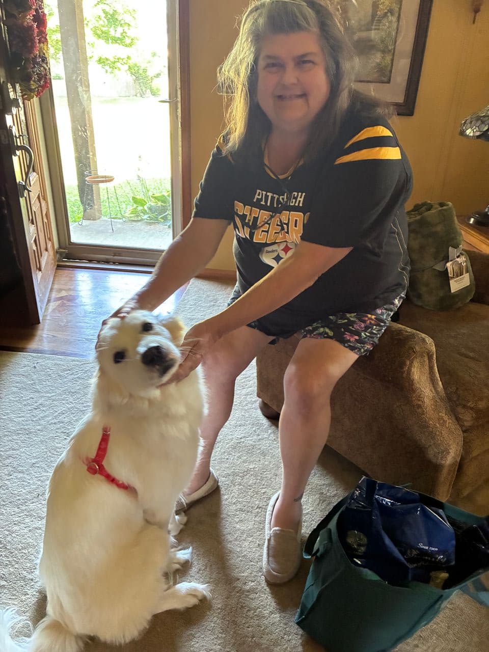 Pet travel photo 4