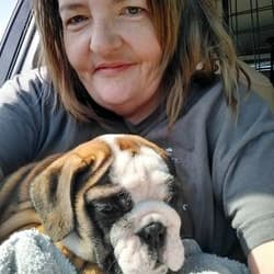 Caring Paws Delivery Service (VIP-Solo rides only)