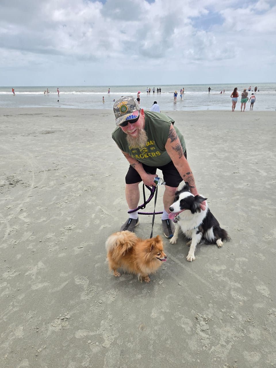 Pet travel photo 4