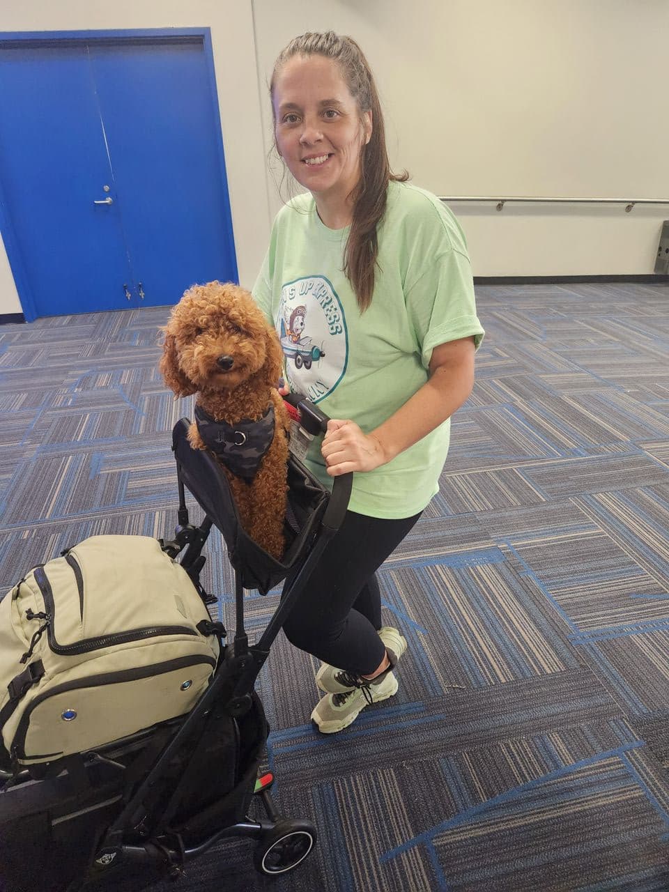 Pet travel photo 2