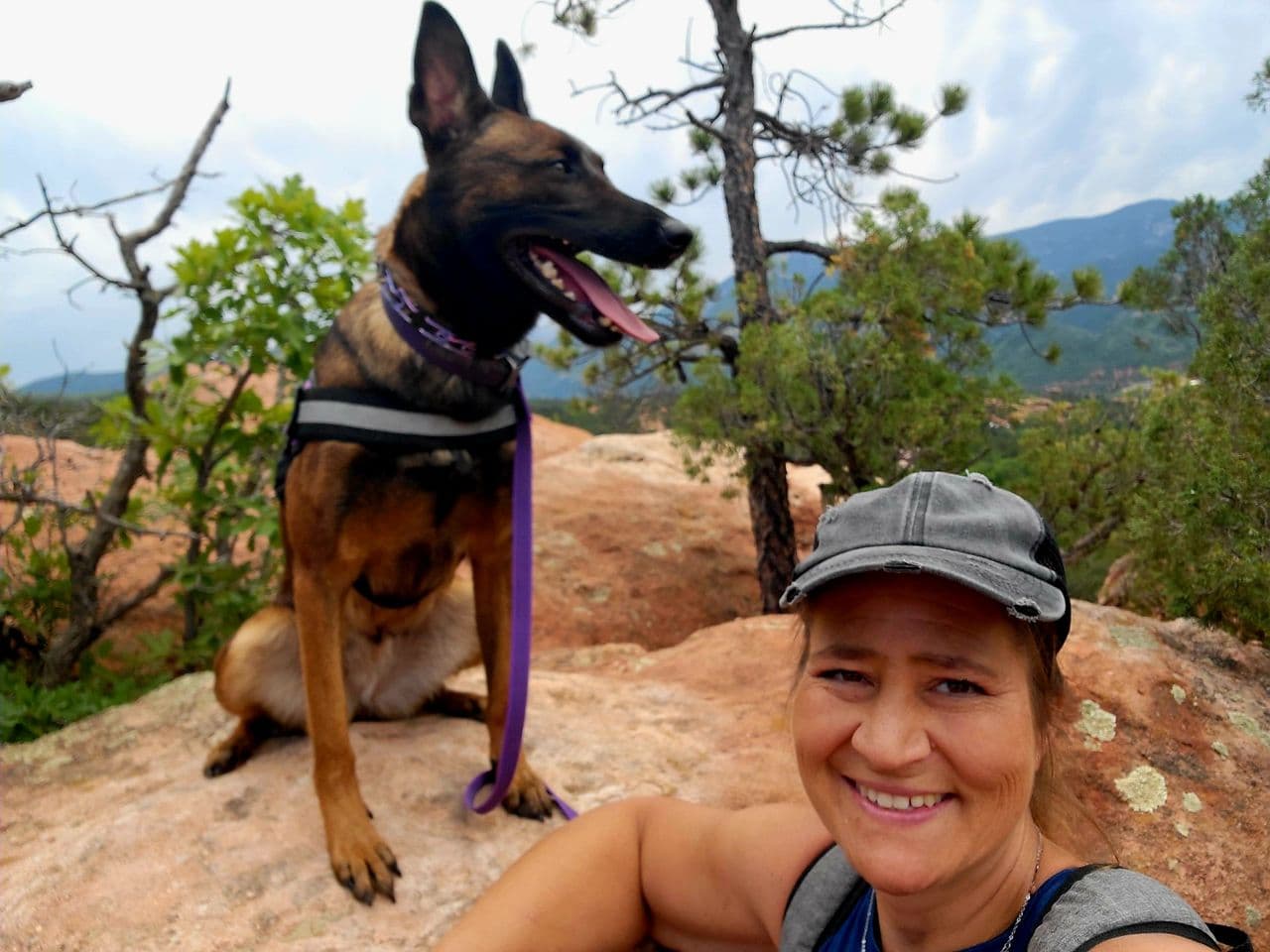 Pet travel photo 1