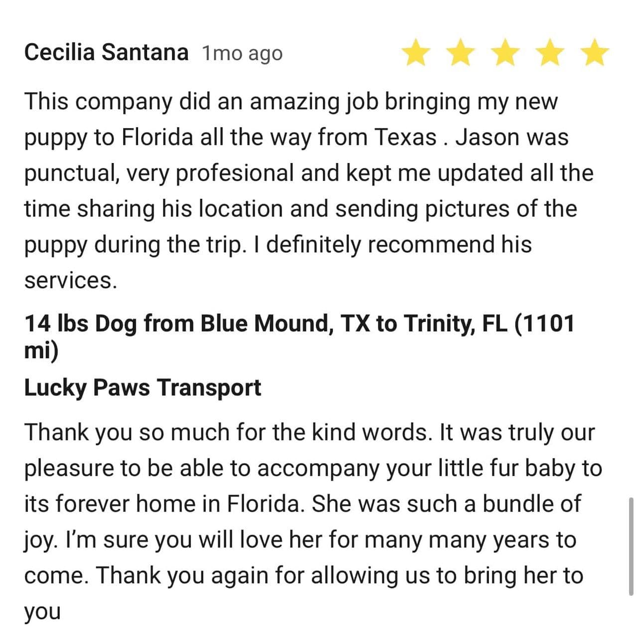 Pet travel photo 5