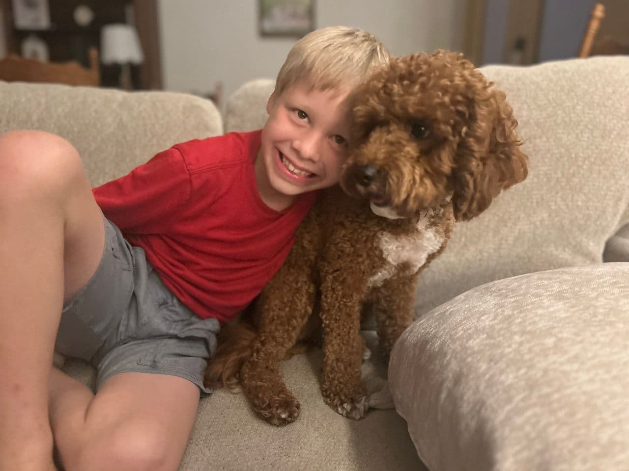Pet travel photo 4