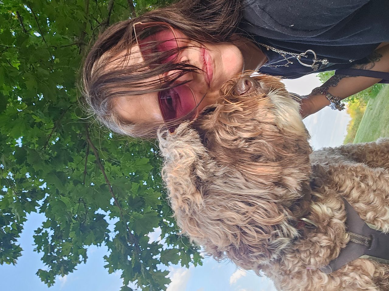Pet travel photo 6
