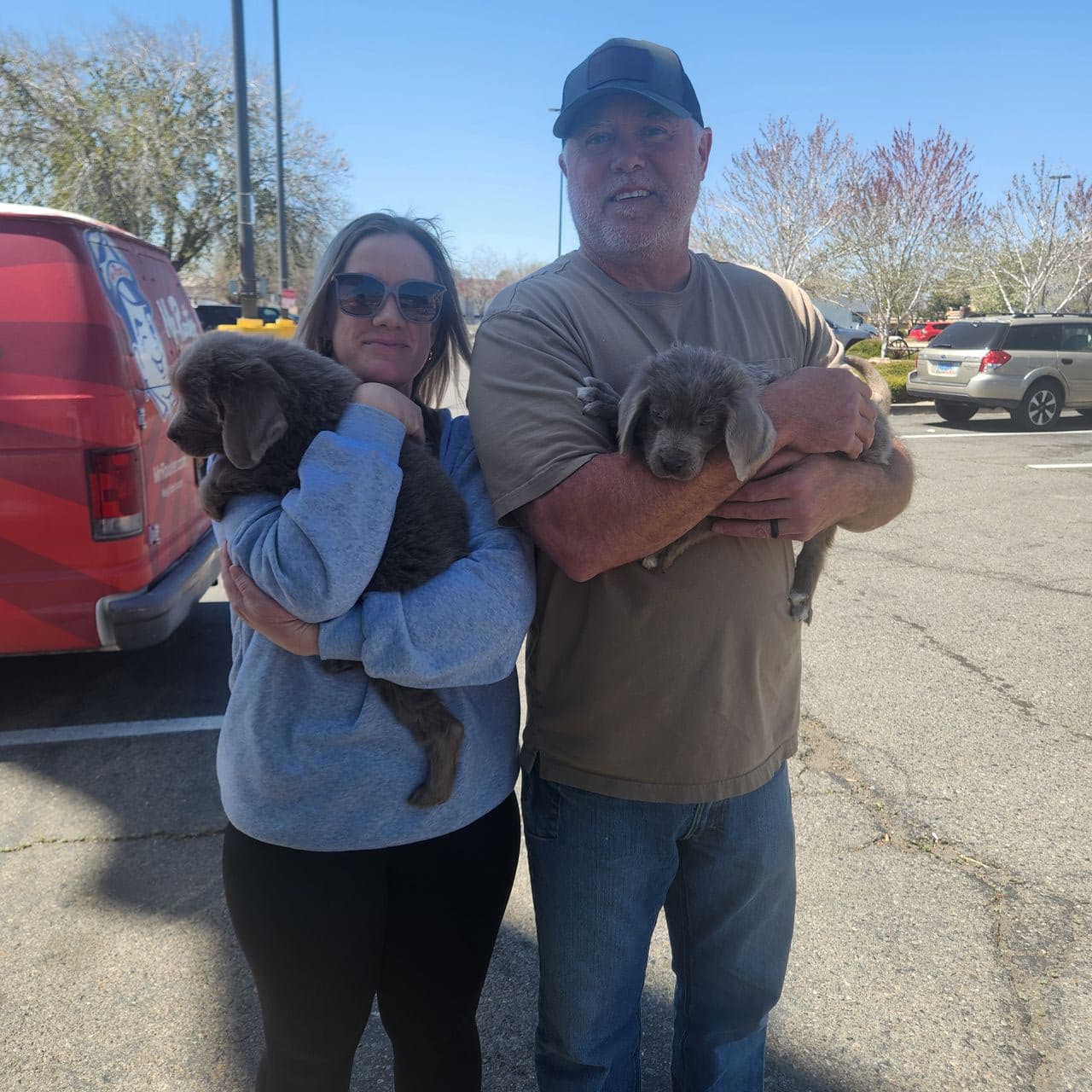 Pet travel photo 1