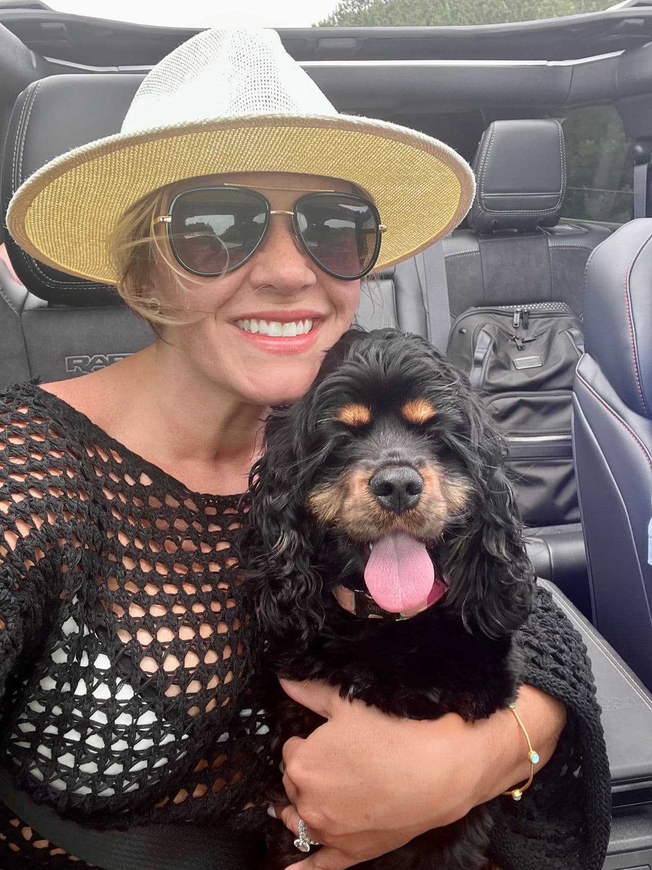 Pet travel photo 6
