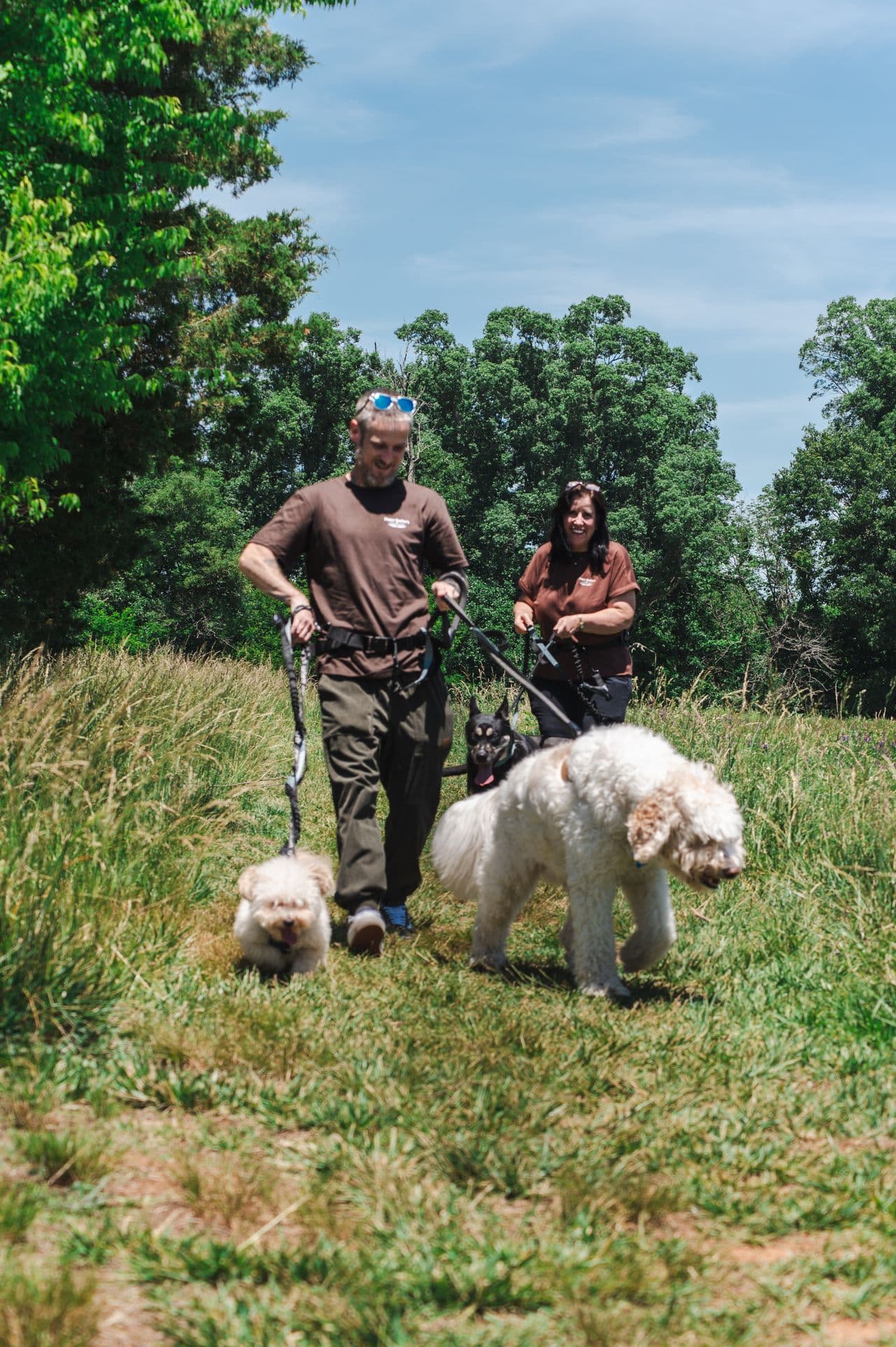 Pet travel photo 5